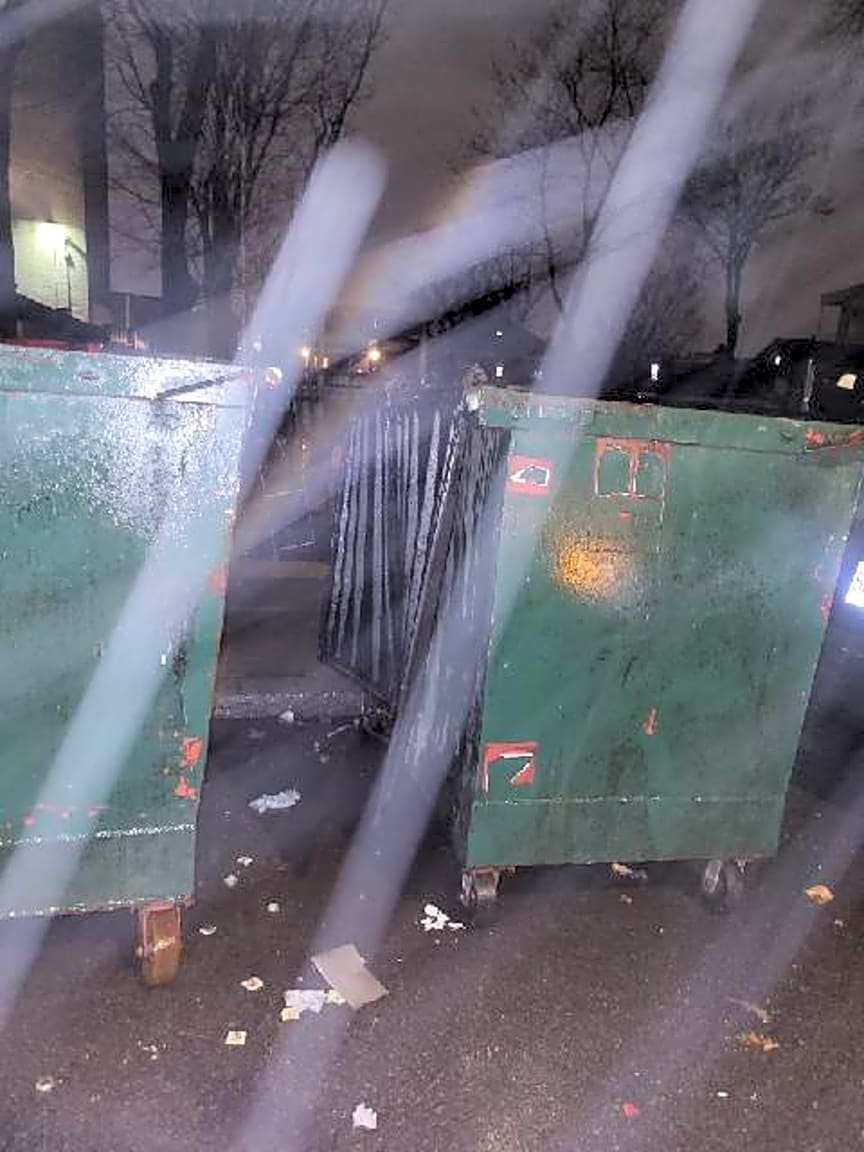 Image submitted with report