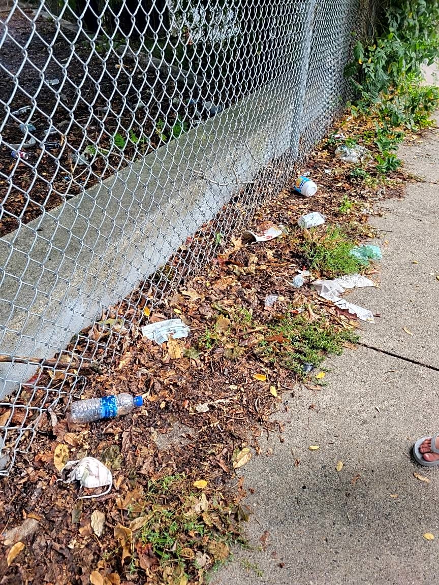 Image submitted with report