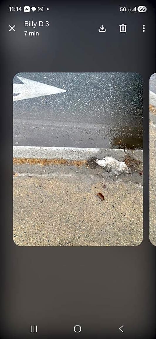 Image submitted with report