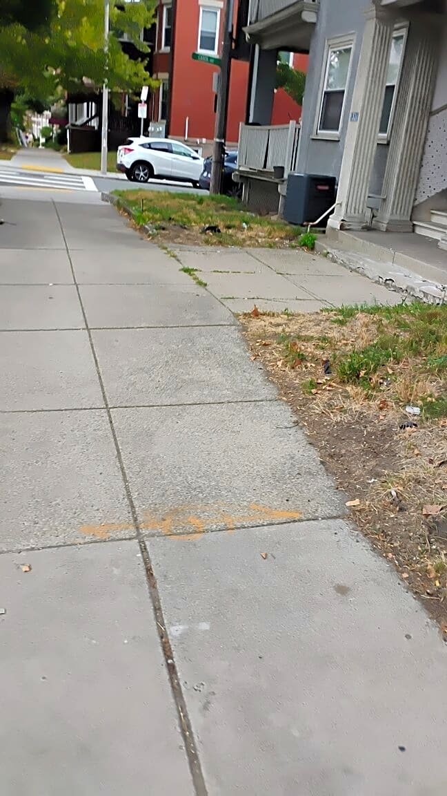 Image submitted with report