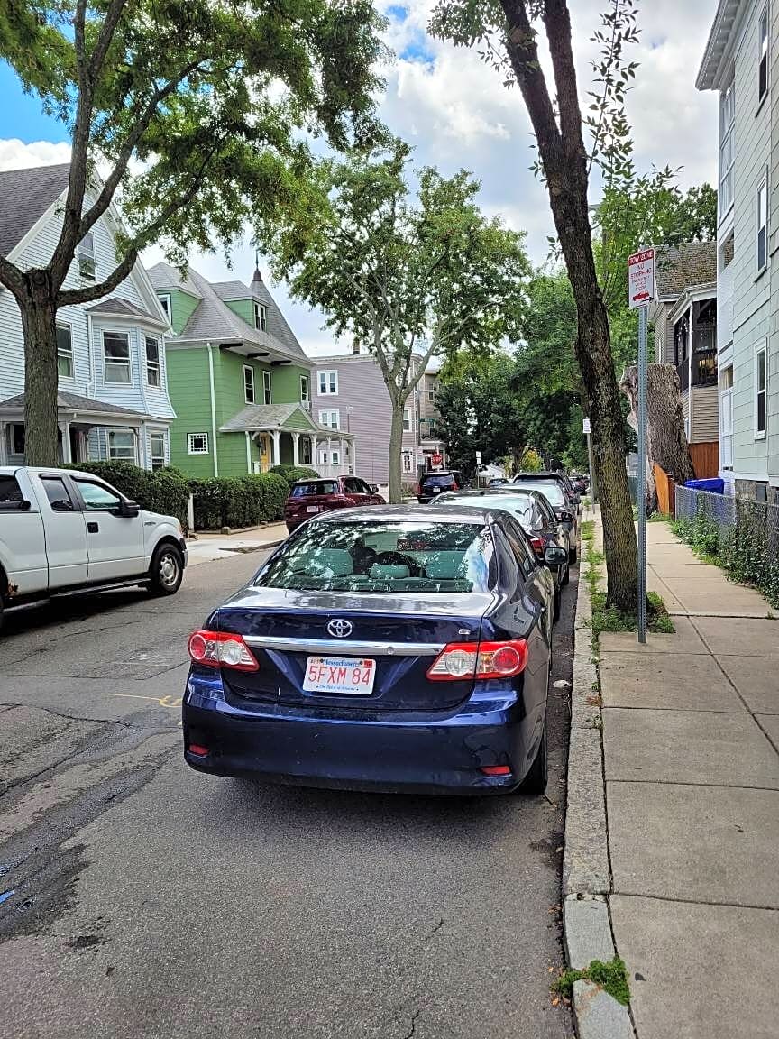 Image submitted with report