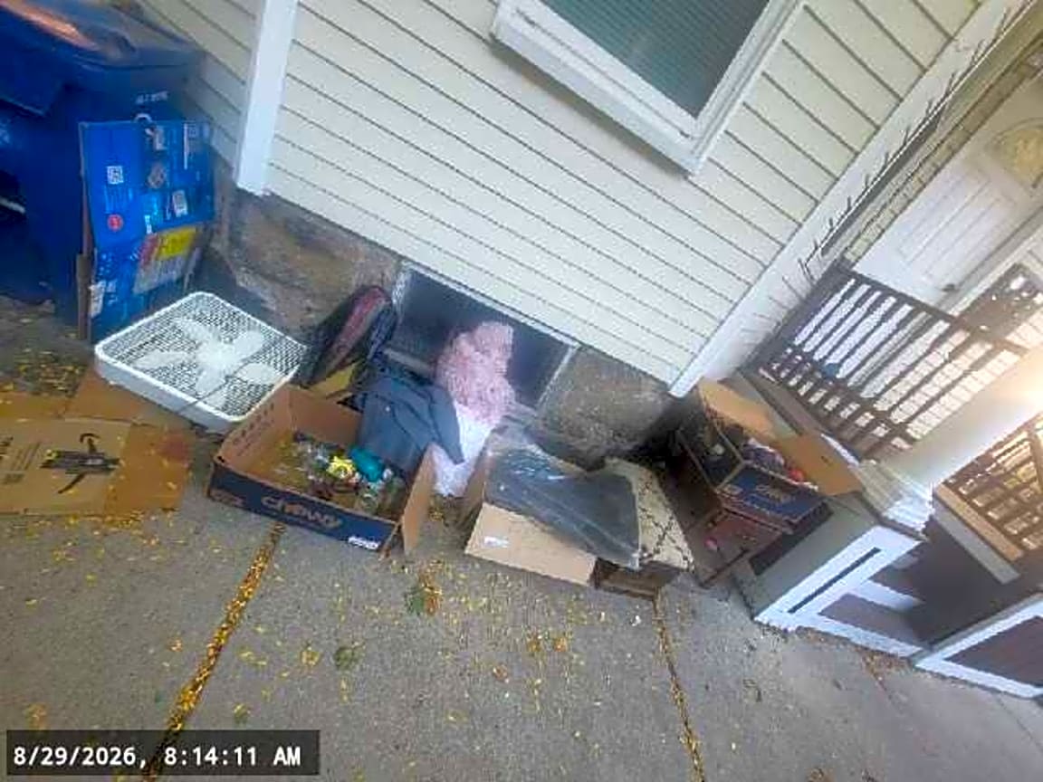 Image submitted with report