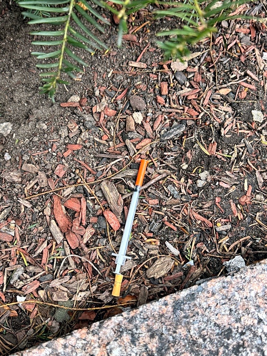 Image submitted with report