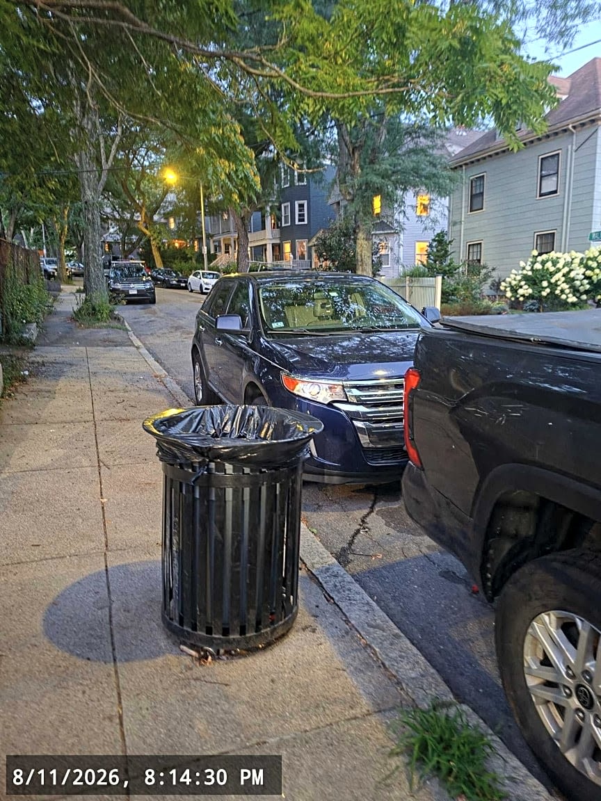 Image submitted with report