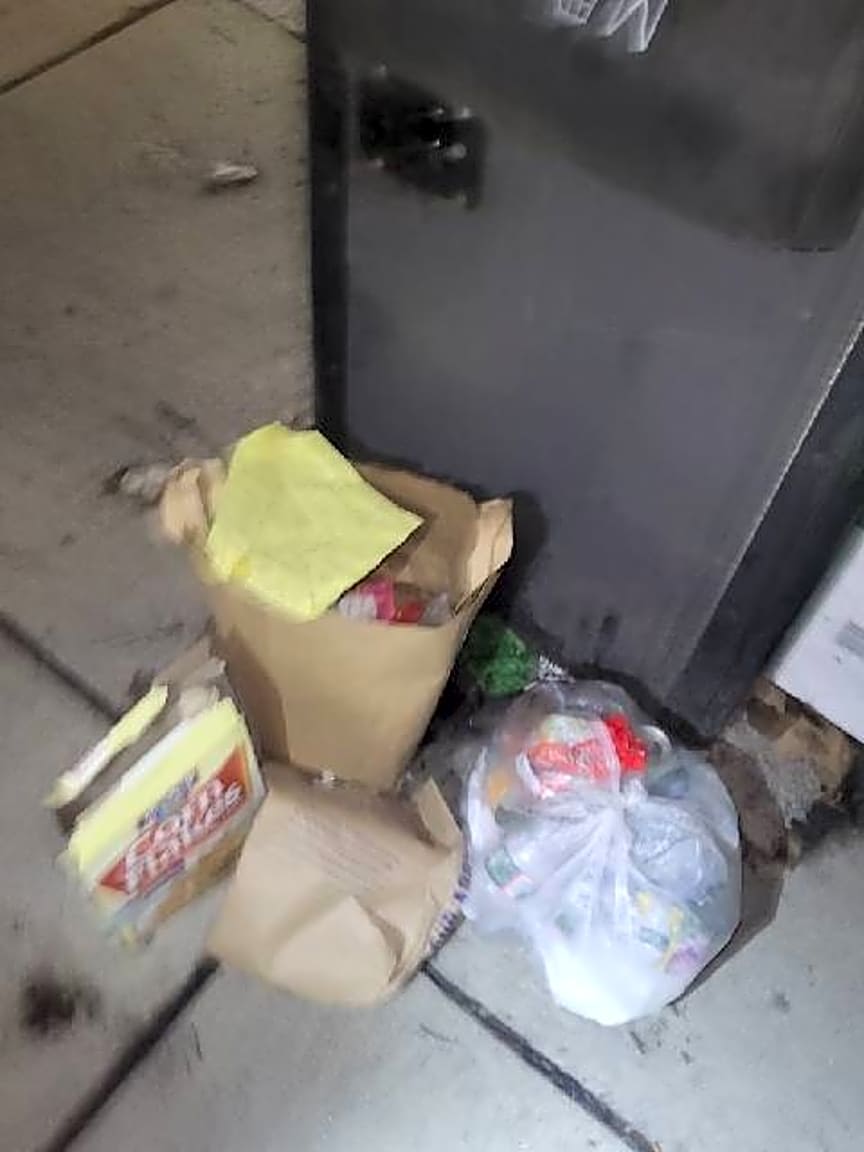 Image submitted with report