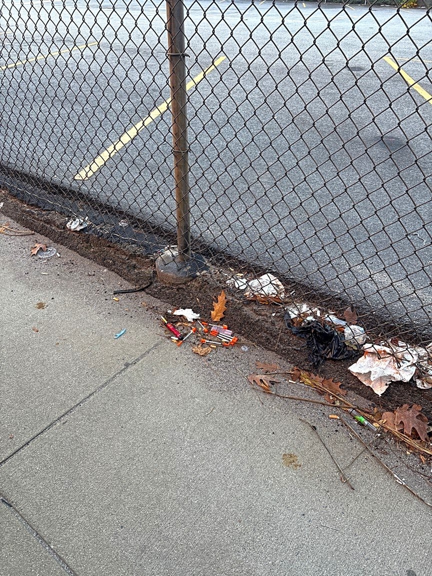 Image submitted with report