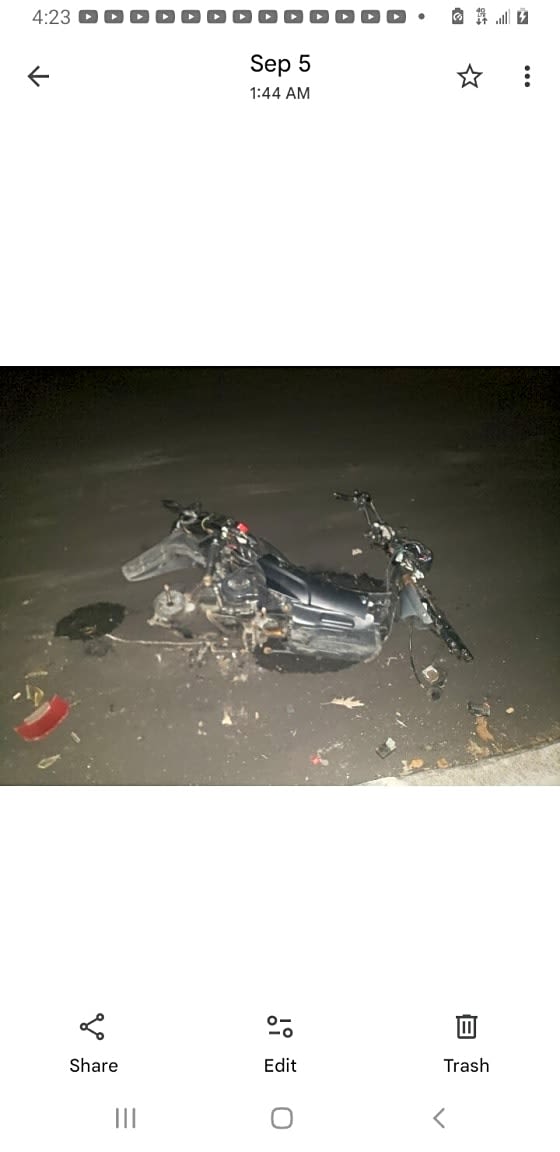 Image submitted with report