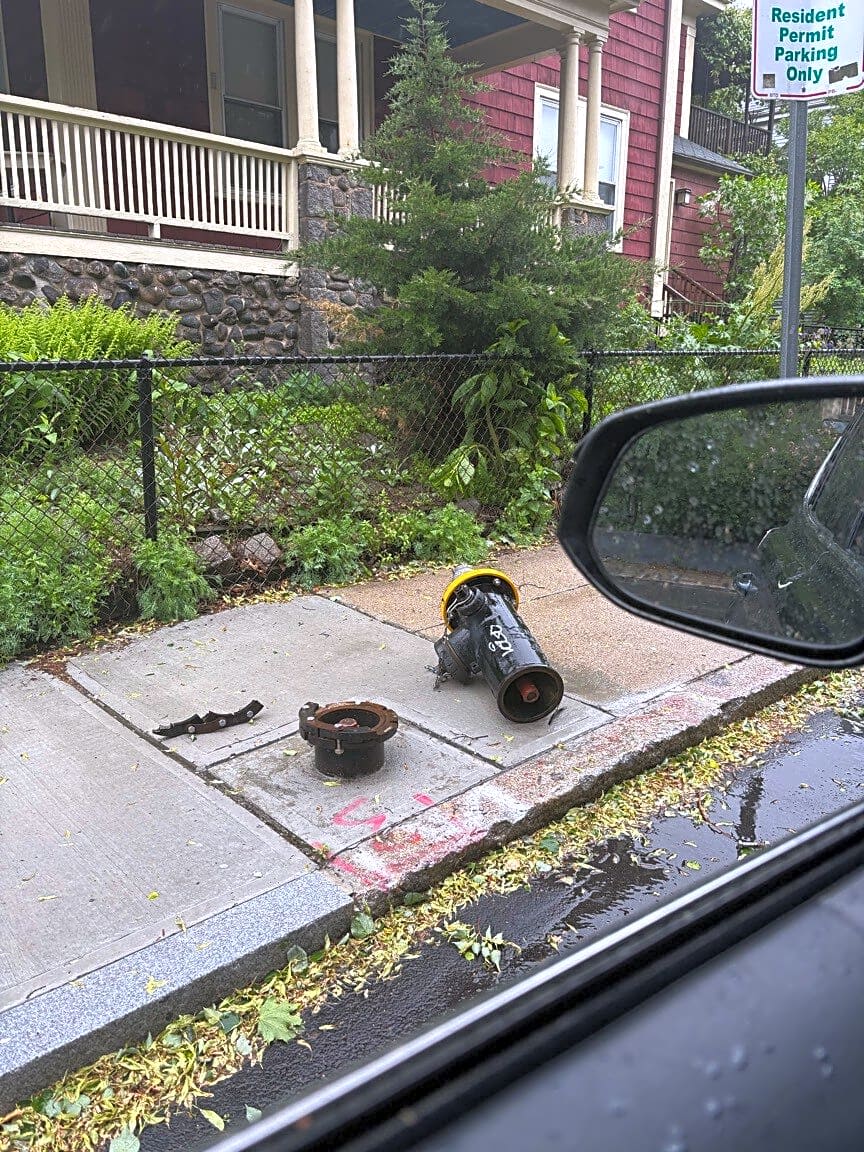 Image submitted with report