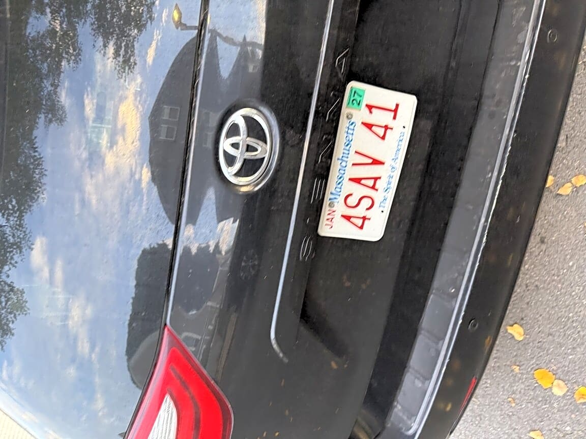 Image submitted with report