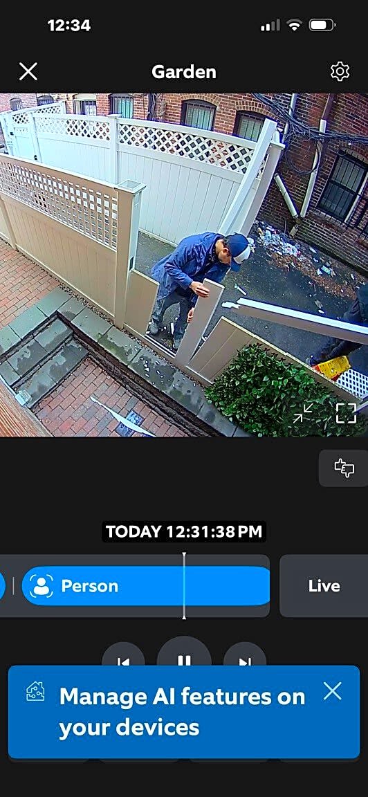 Image submitted with report