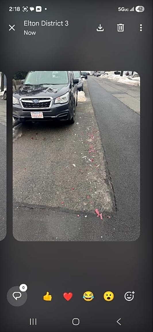 Image submitted with report