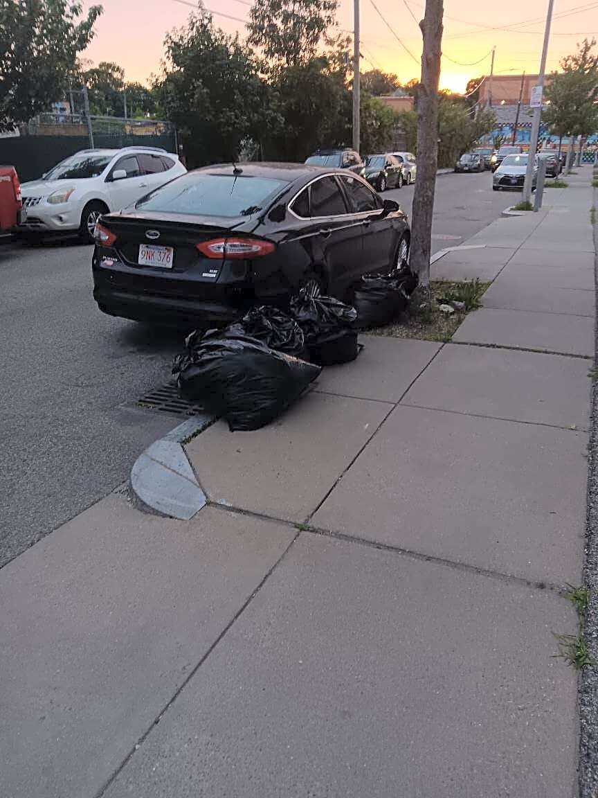 Image submitted with report