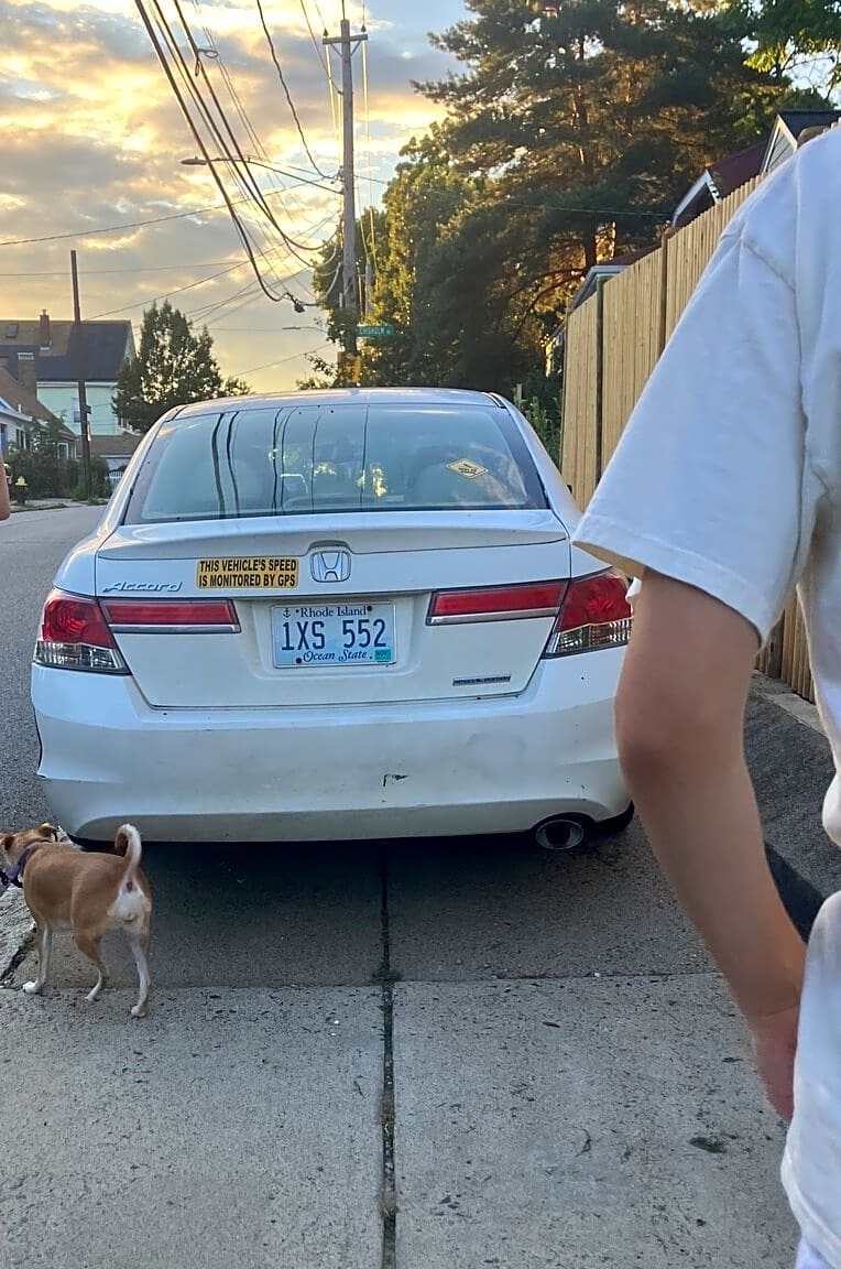 Image submitted with report
