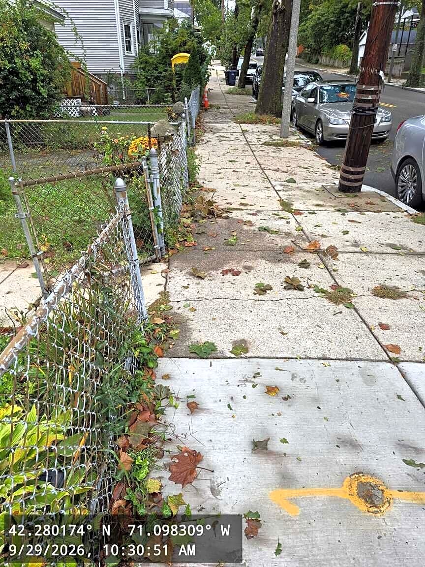 Image submitted with report