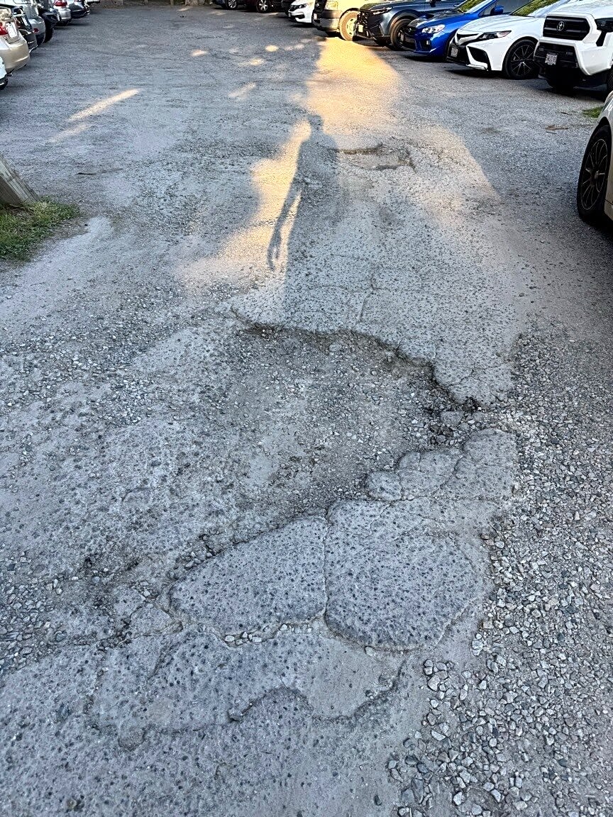 Image submitted with report