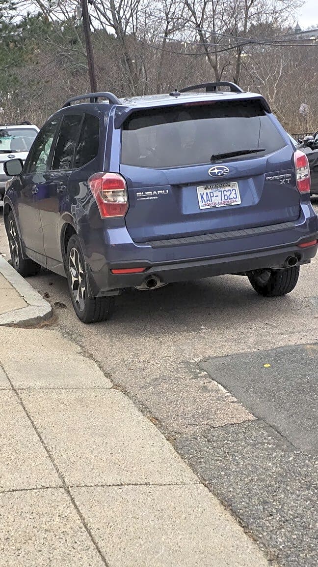 Image submitted with report