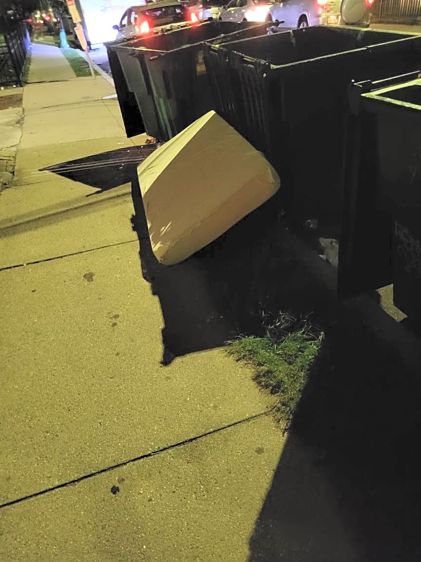 Image submitted with report