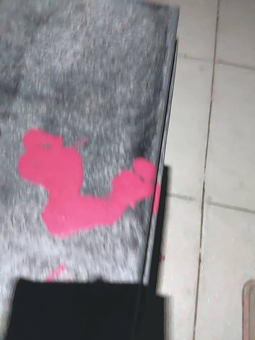 Image submitted with report