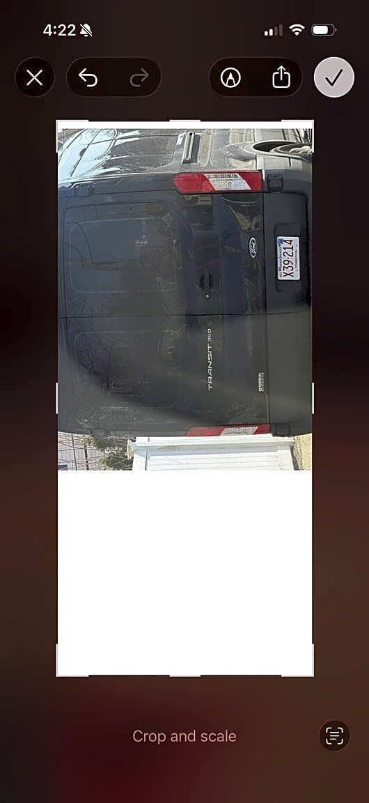 Image submitted with report