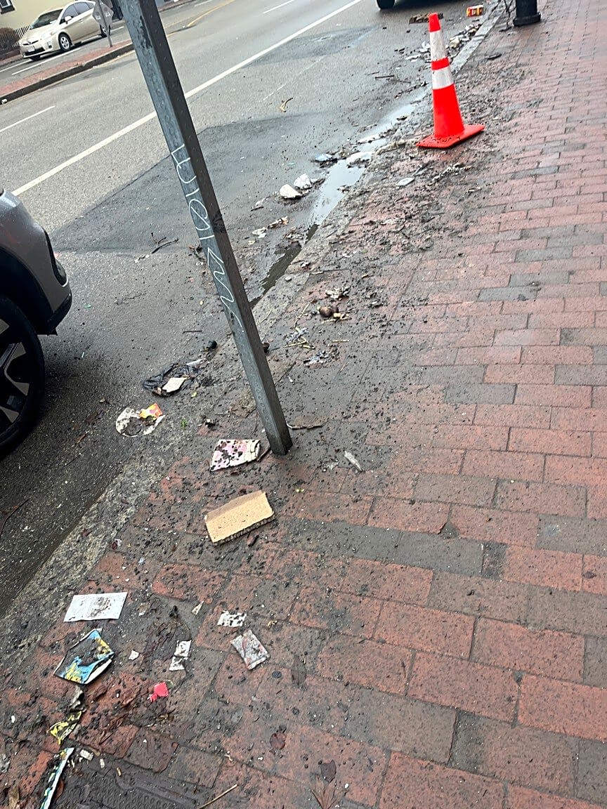 Image submitted with report