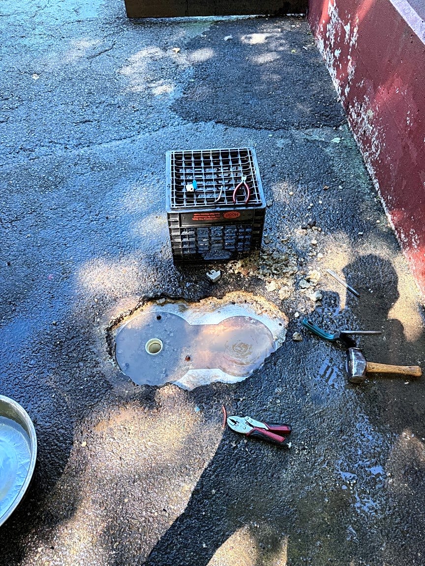 Image submitted with report