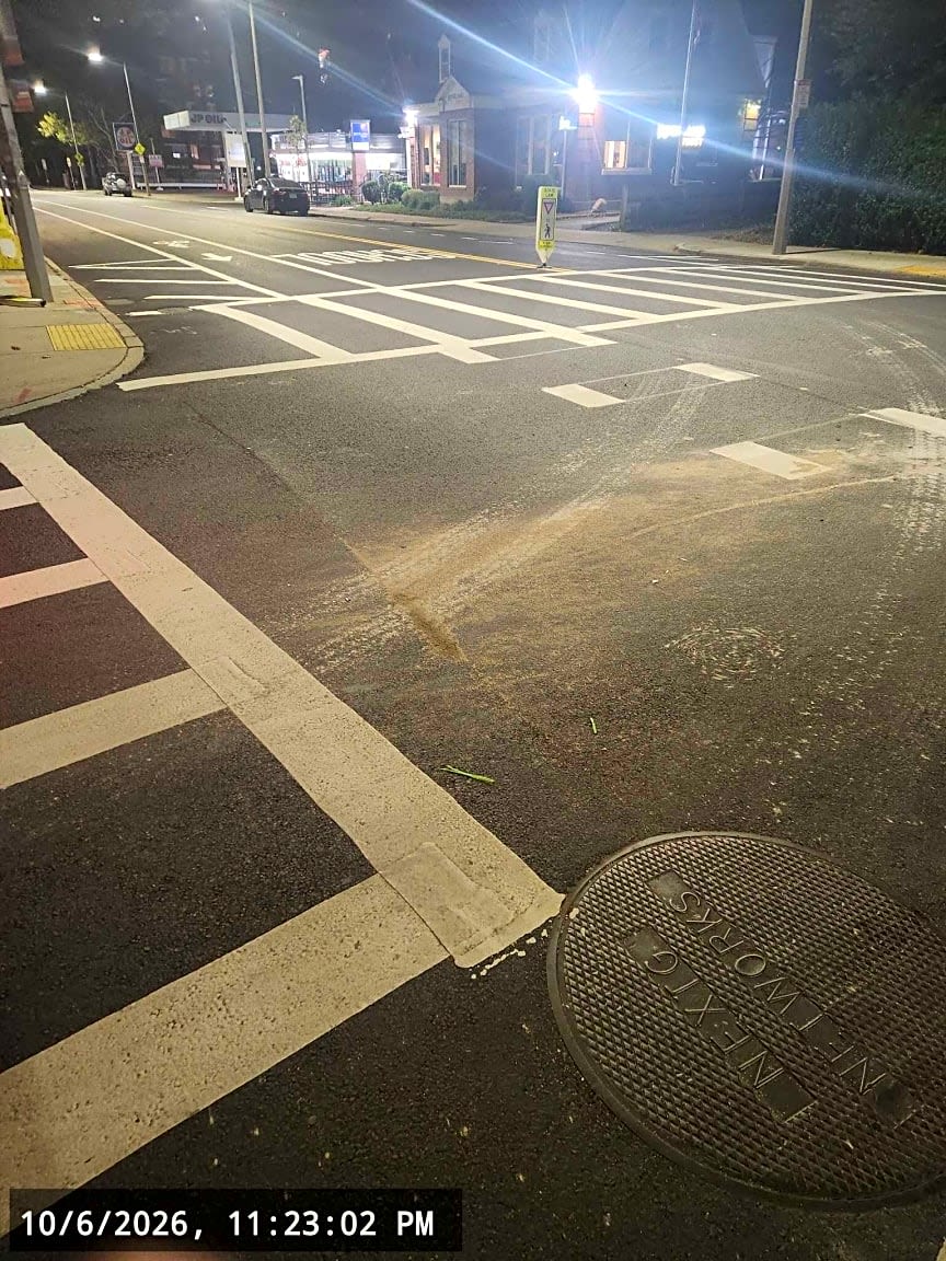 Image submitted with report