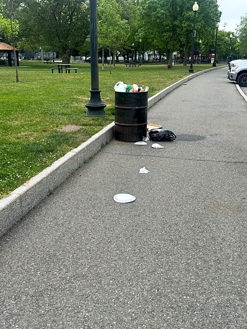 Image submitted with report