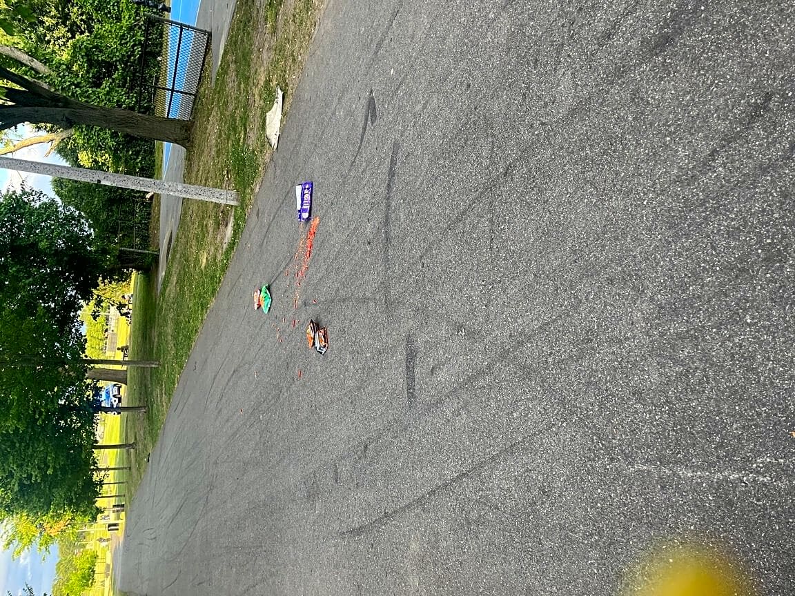 Image submitted with report