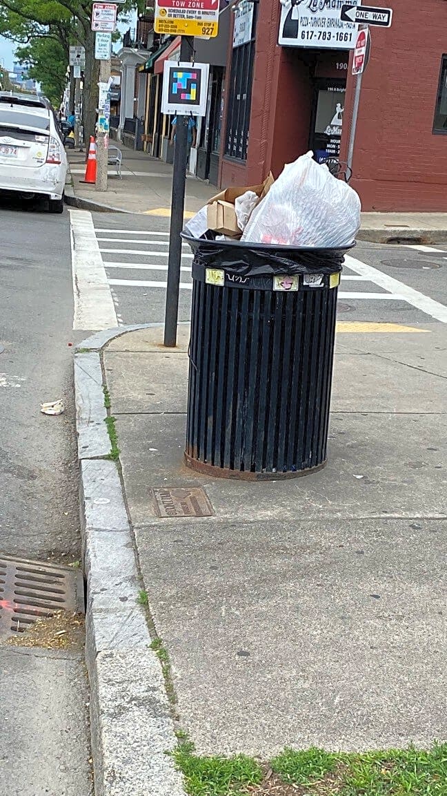 Image submitted with report