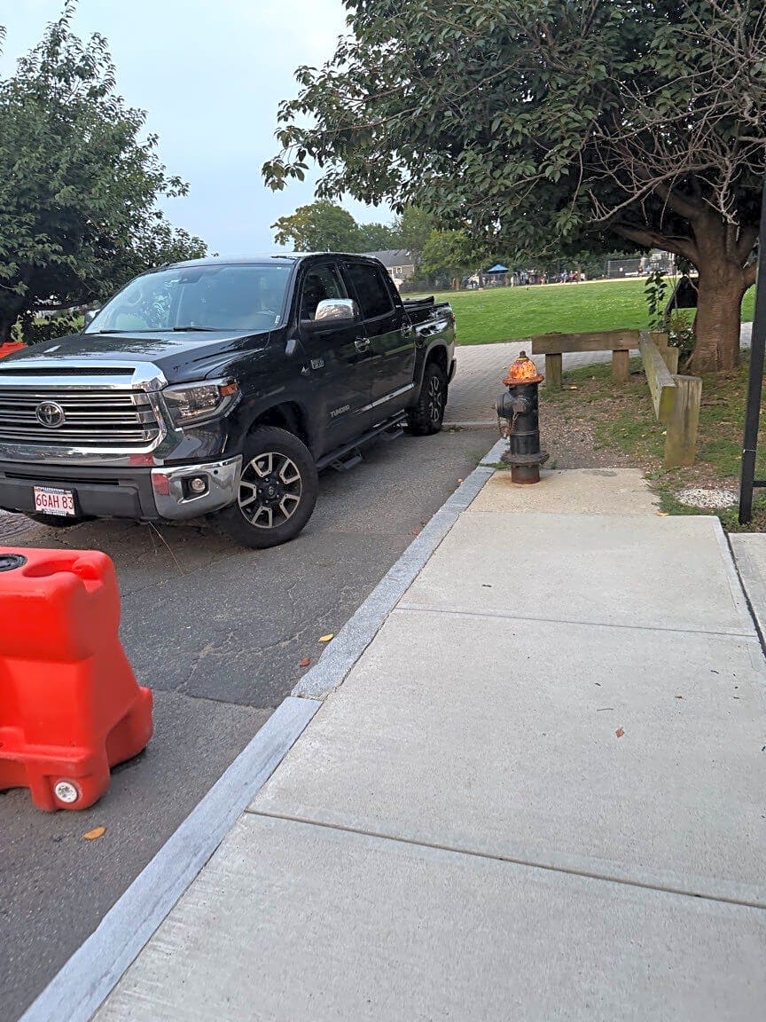Image submitted with report