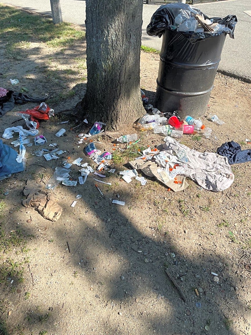 Image submitted with report