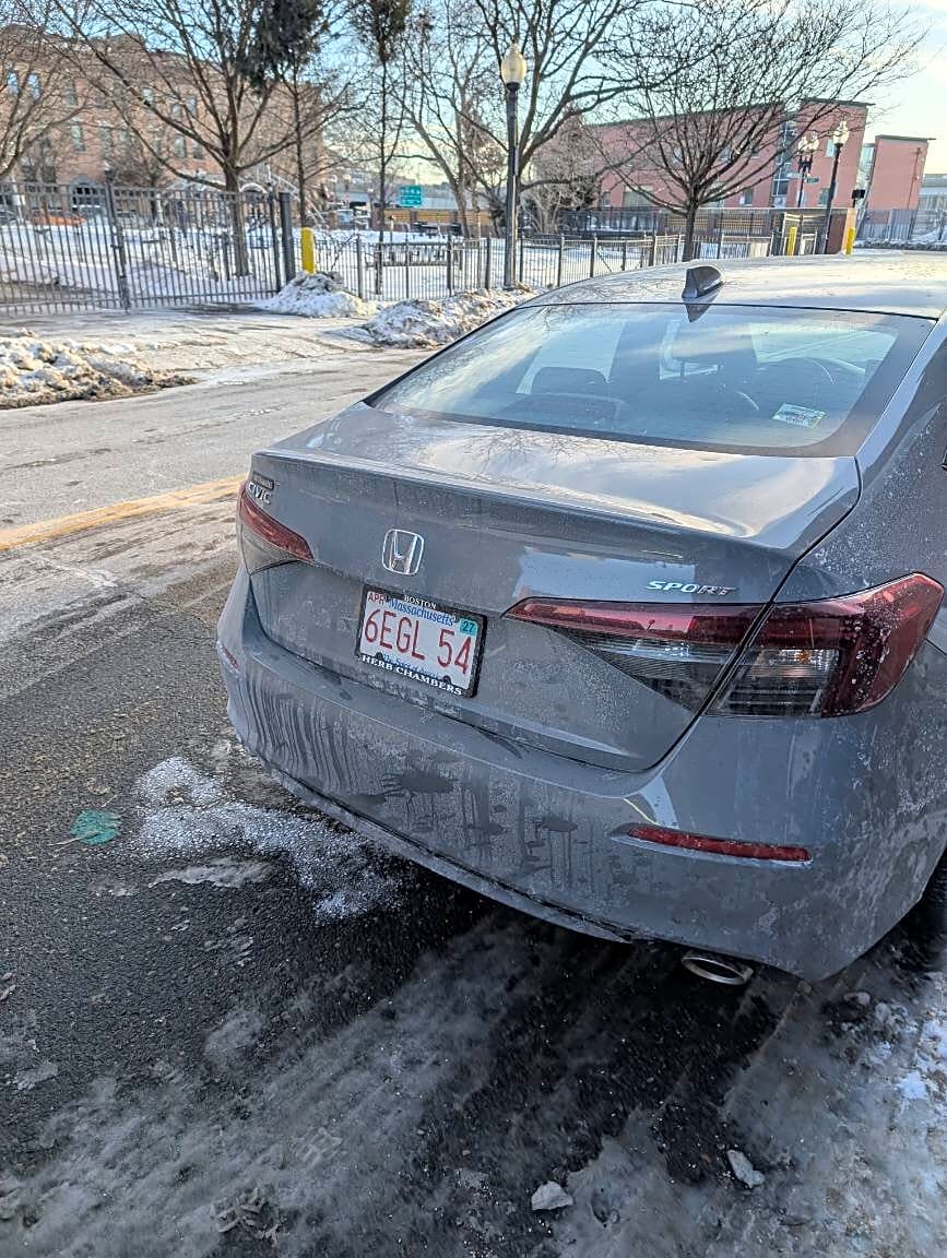 Image submitted with report