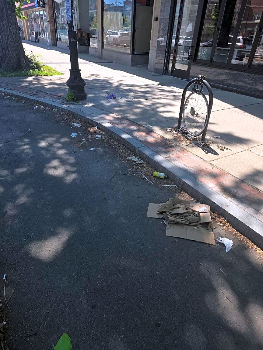 Image submitted with report