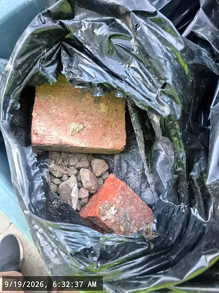 Image submitted with report