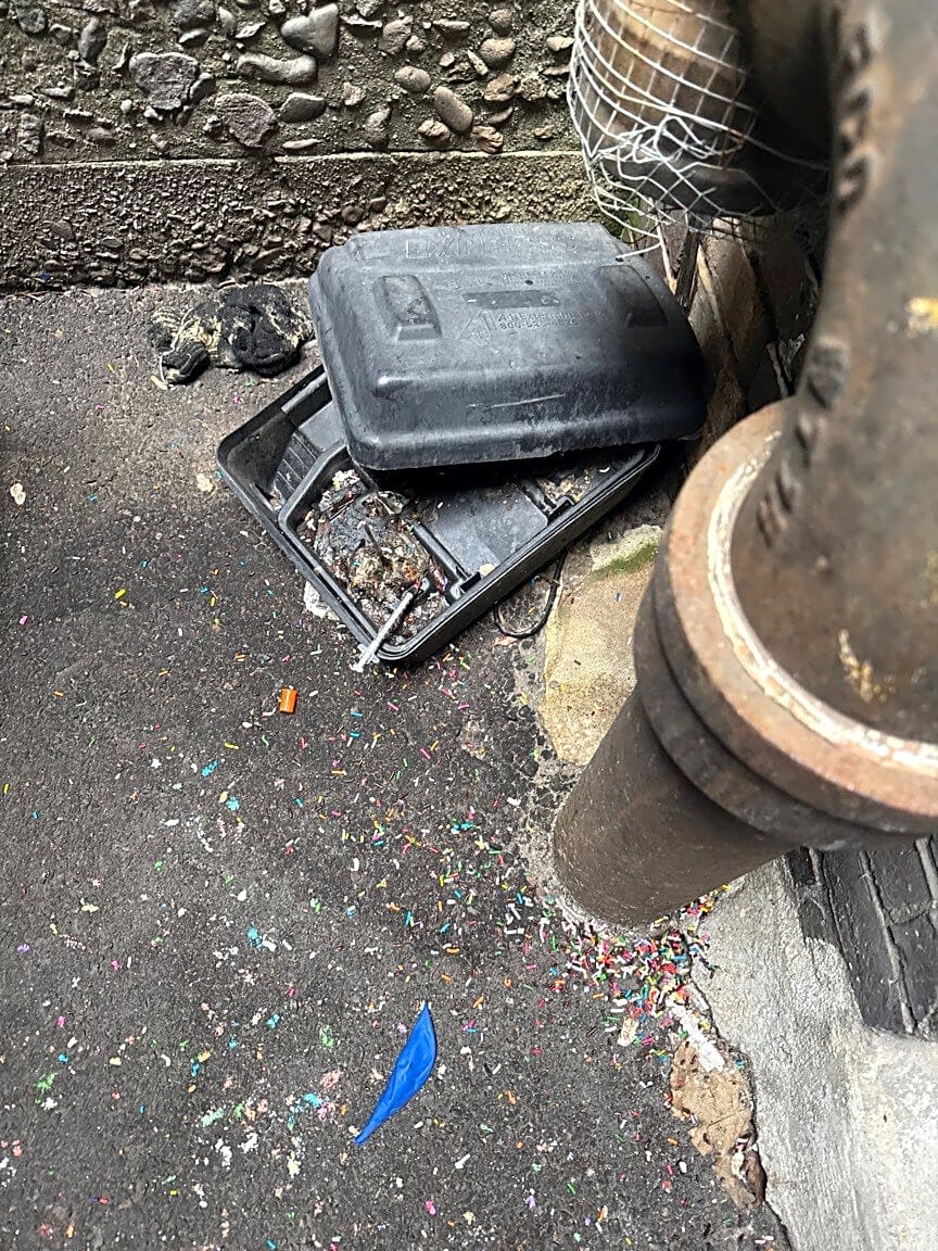 Image submitted with report