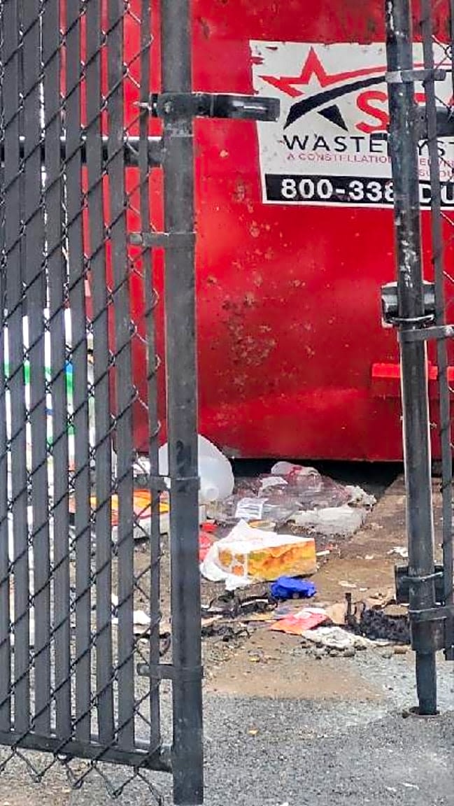 Image submitted with report