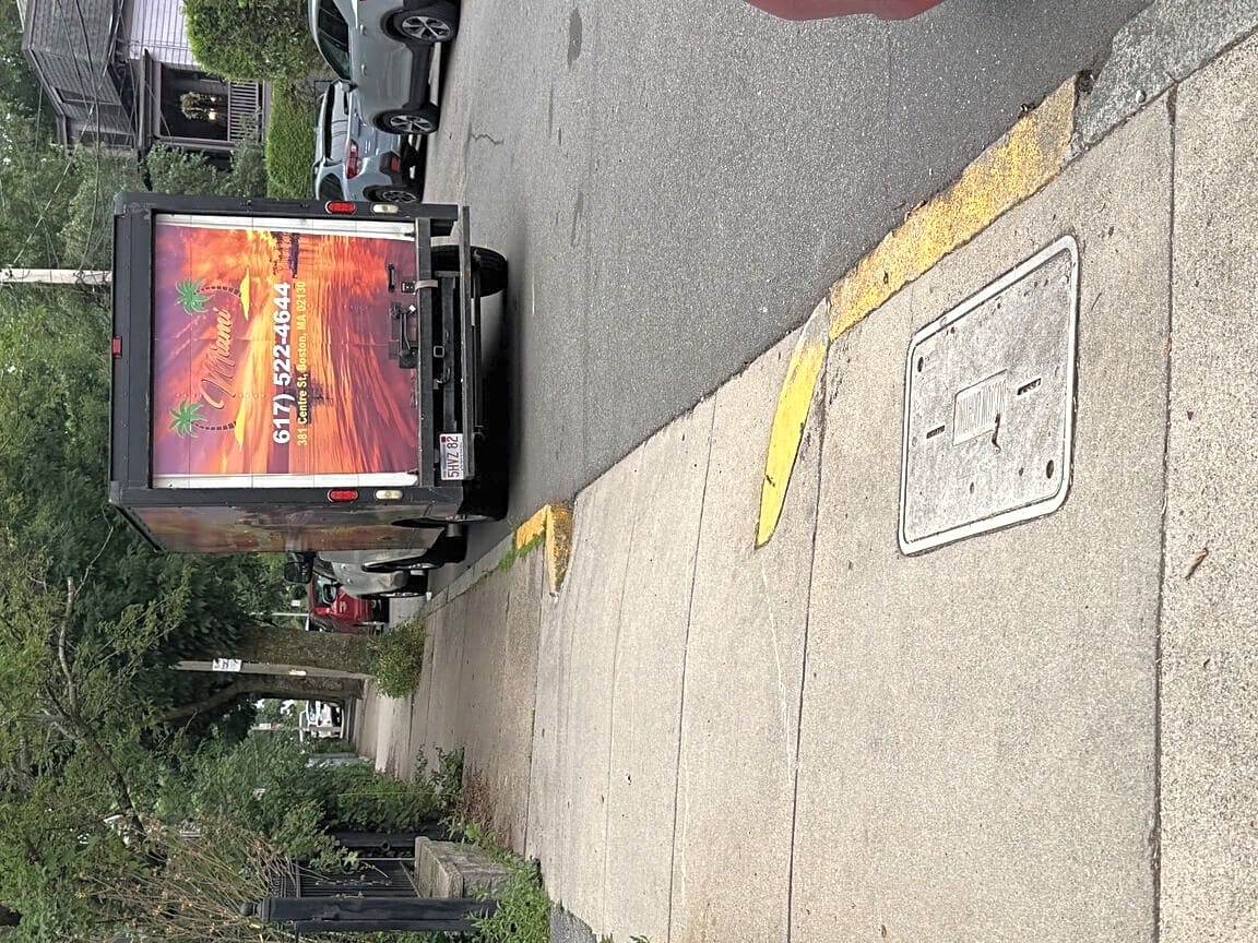 Image submitted with report
