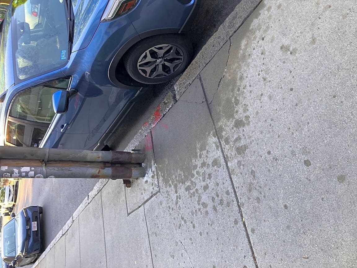 Image submitted with report
