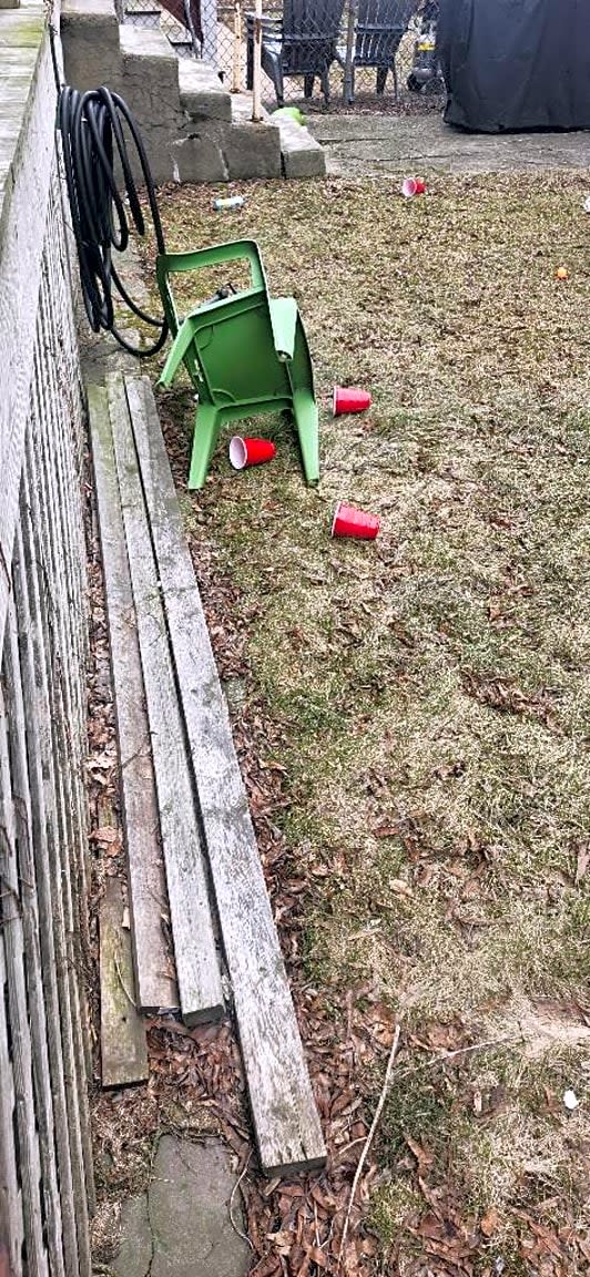 Image submitted with report