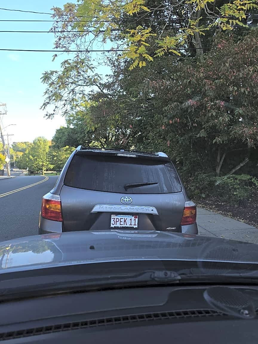 Image submitted with report