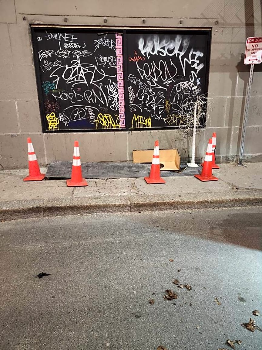 Image submitted with report