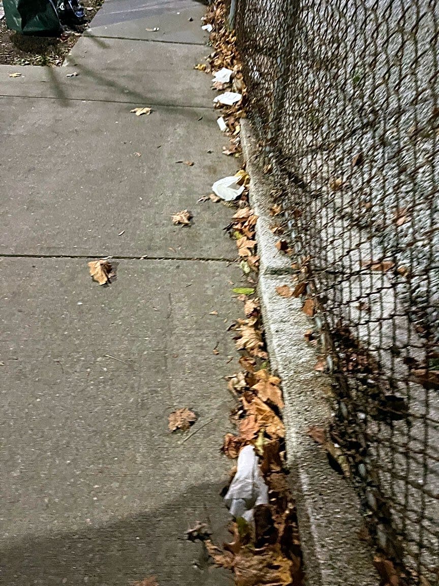 Image submitted with report