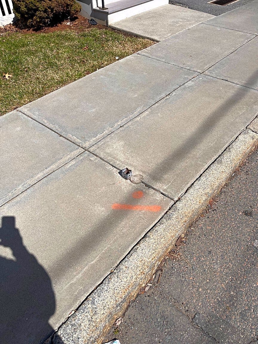 Image submitted with report