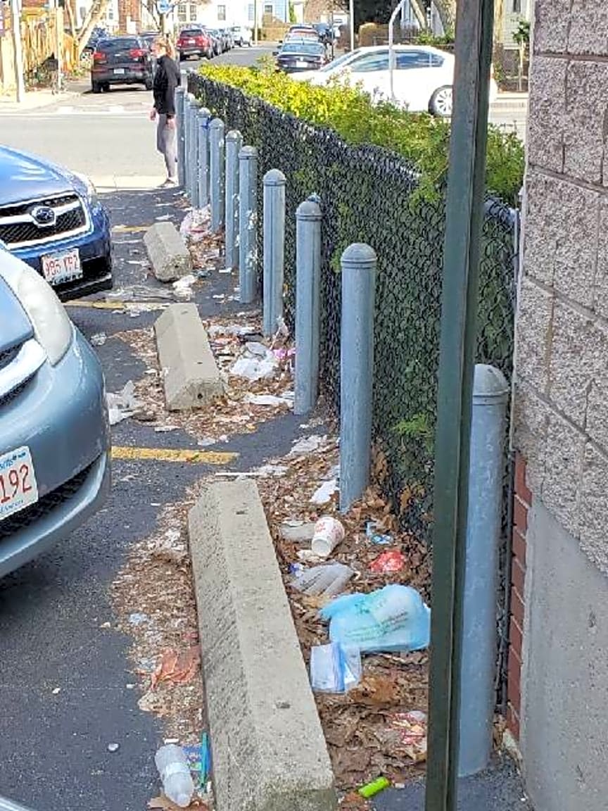 Image submitted with report