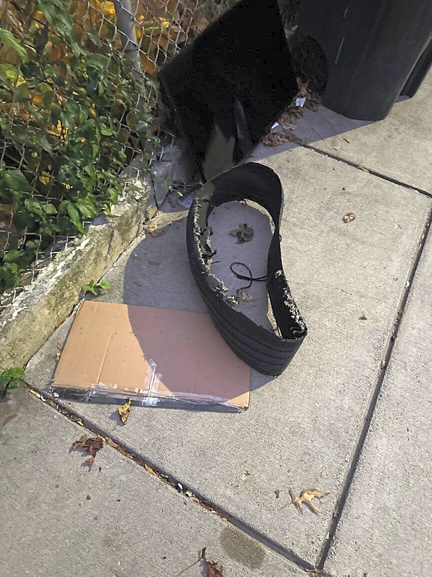 Image submitted with report