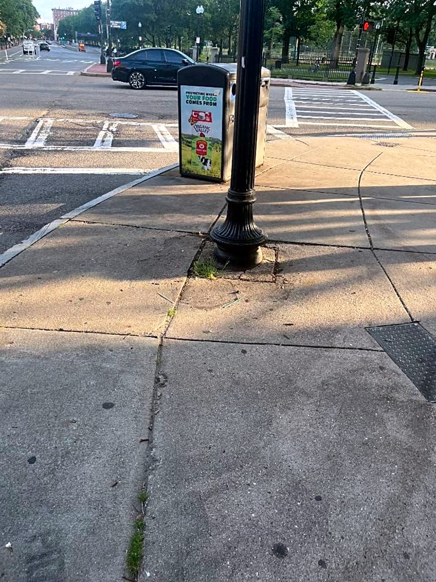 Image submitted with report