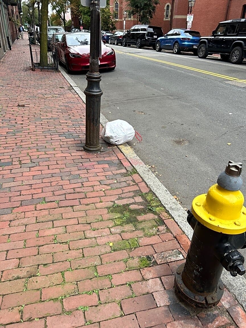 Image submitted with report
