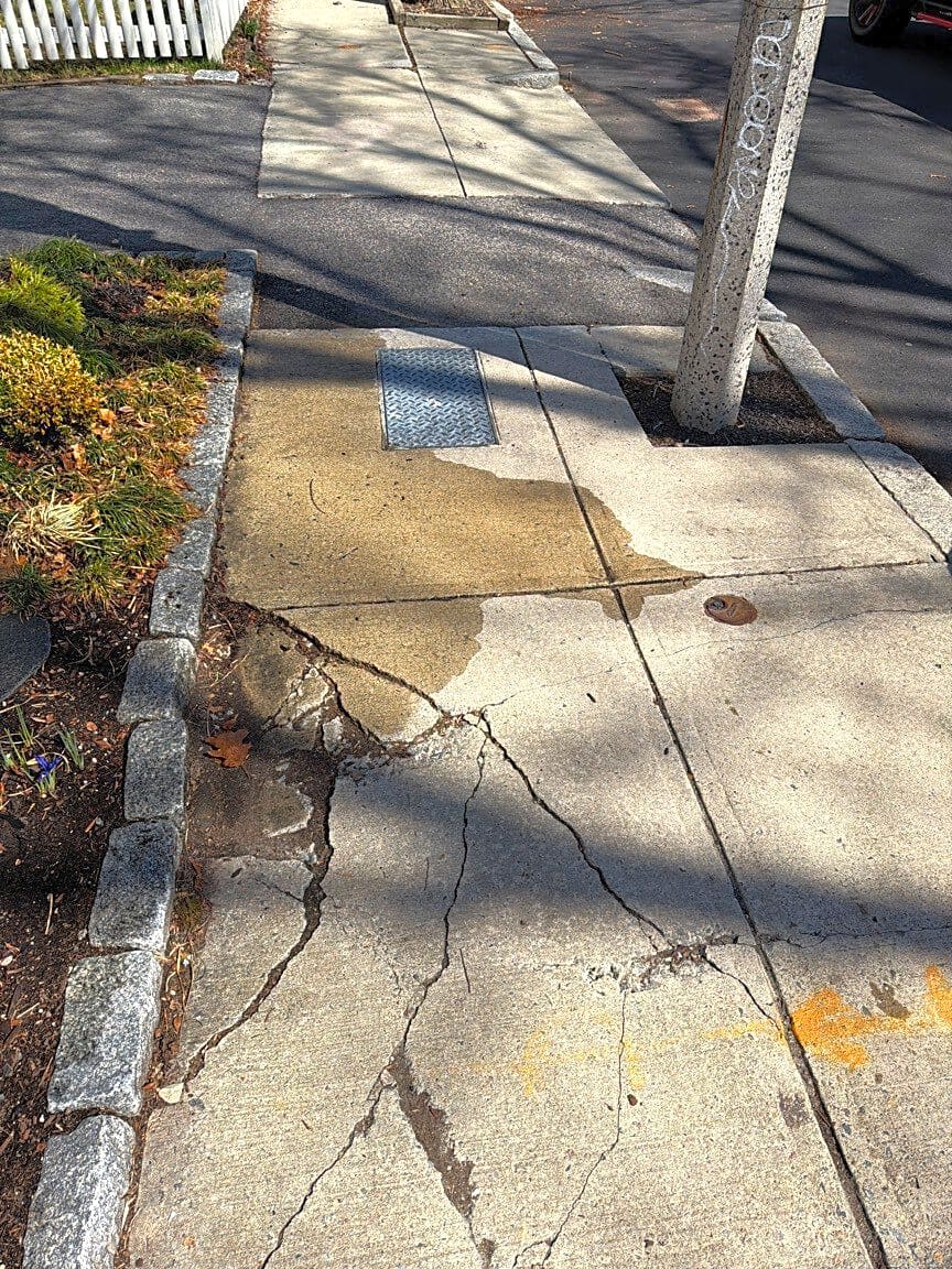 Image submitted with report