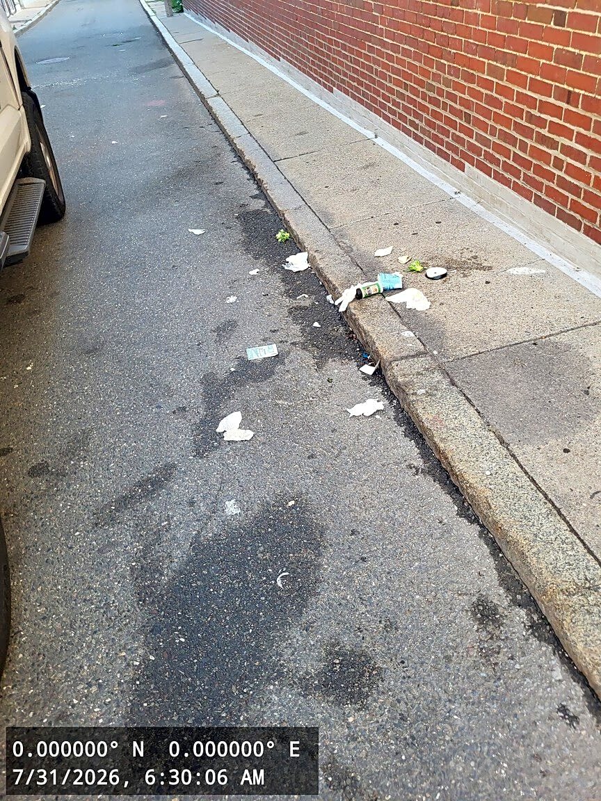Image submitted with report