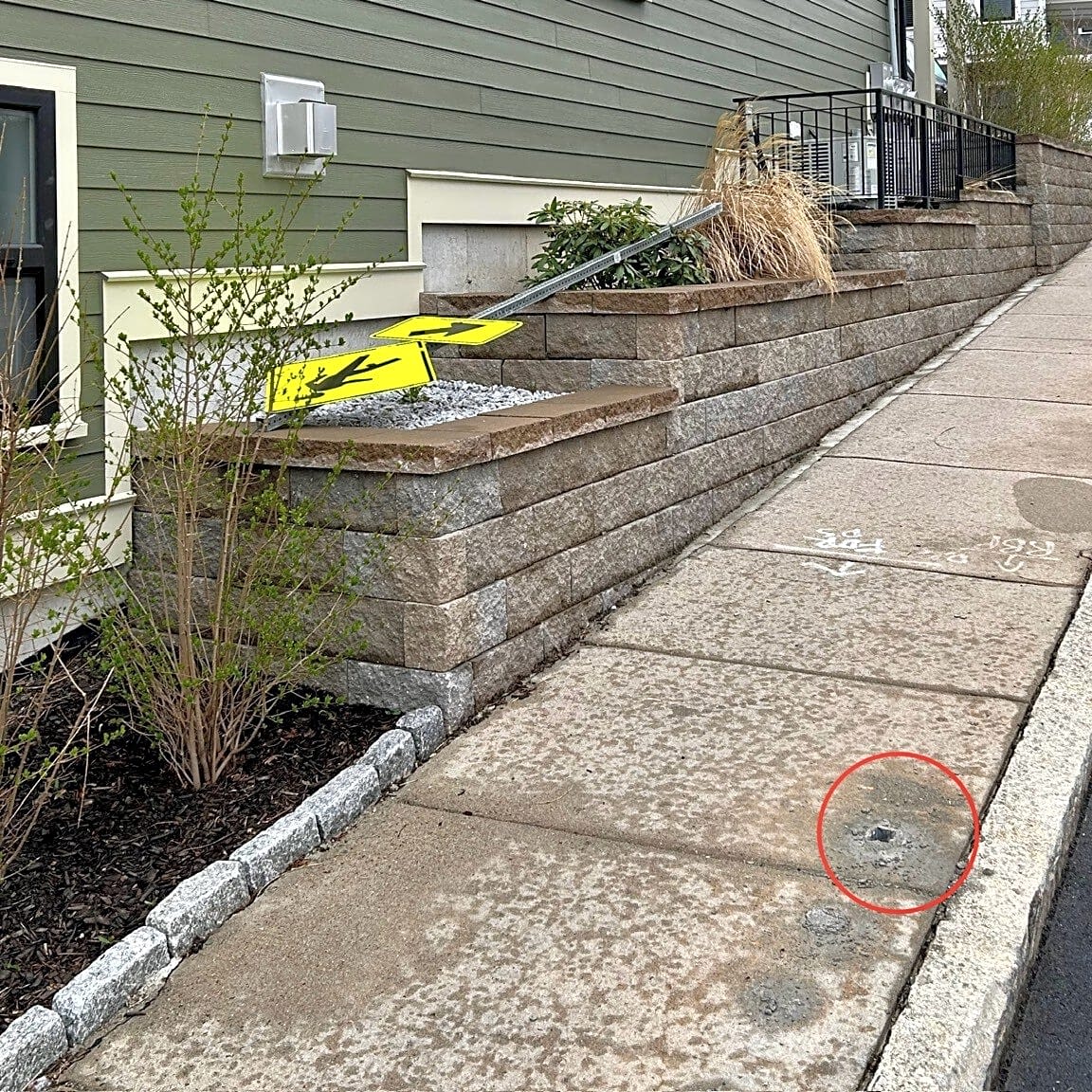 Image submitted with report